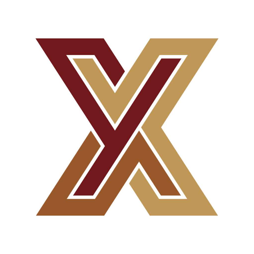 Modern Minimalist X Letter Logo Design