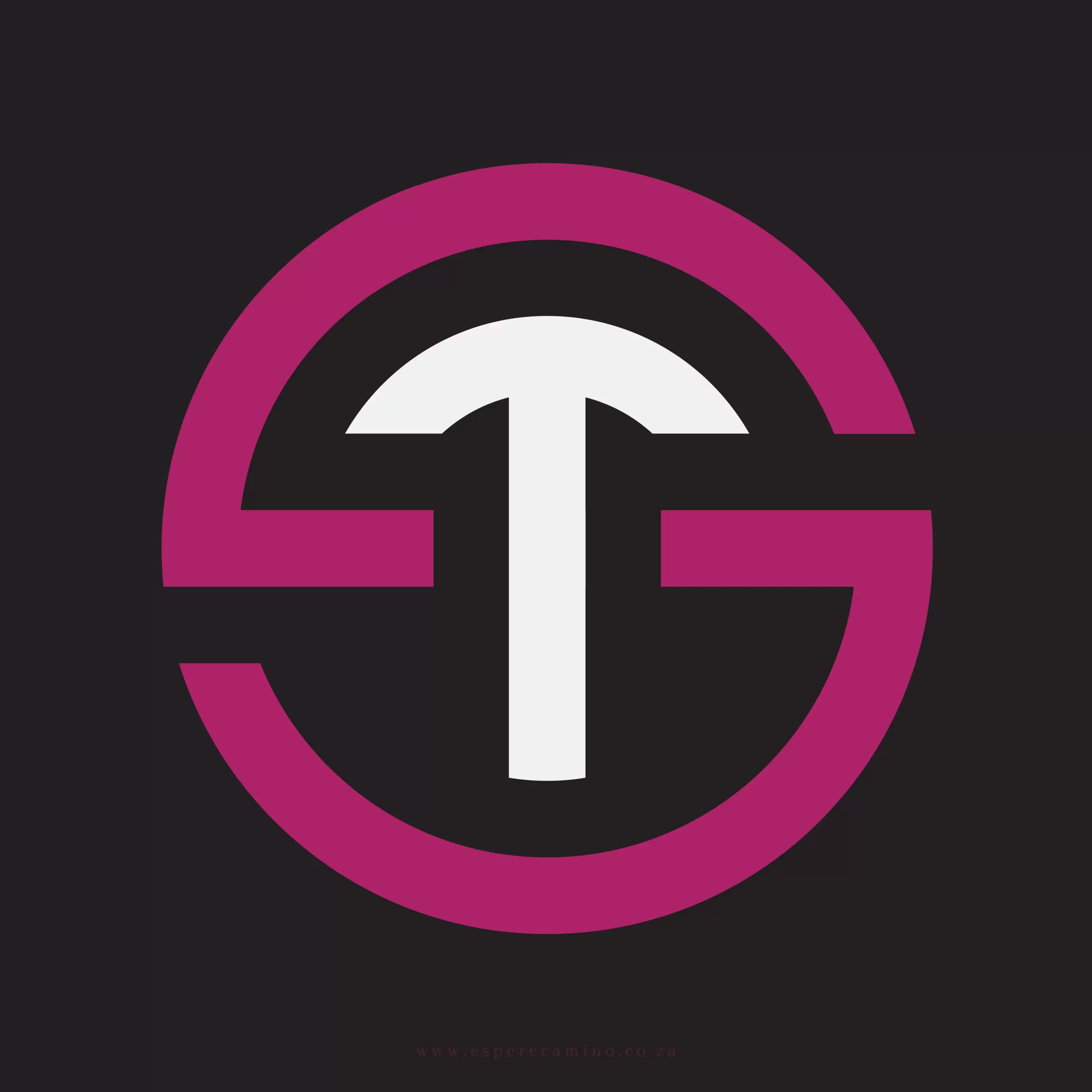 Download TS Logo Design Customizable Template